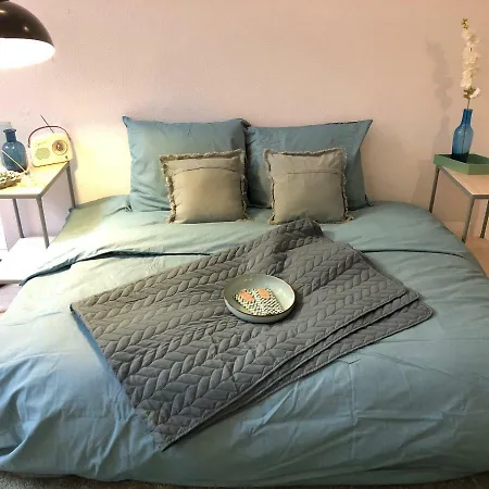 Lejlighed Luxe Toplocatie! Monument Hartje Centrum Dordrecht, 2 Badkamers, 2 Keukens, Tuintje