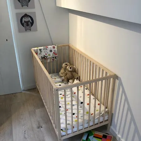 Luxe Toplocatie! Monument Hartje Centrum Dordrecht, 2 Badkamers, 2 Keukens, Tuintje *